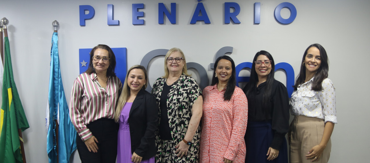 cofen-realiza-webinario-de-comunicacao-e-trabalho-em-equipe