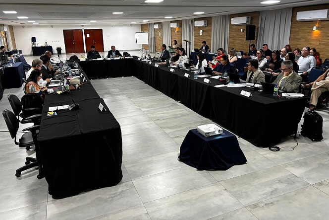 conheca-os-82-nomes-aprovados-para-as-comissoes-permanentes-e-camaras-tecnicas-do-cofen