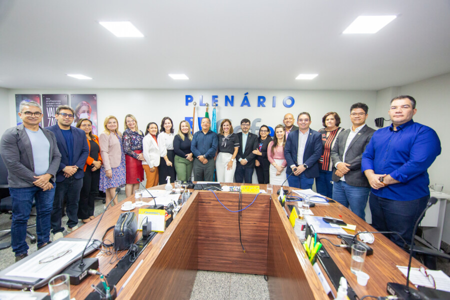 plenario-do-cofen-recebe-deputada-distrital-dayse-amarilio
